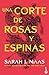Una corte de rosas y espinas (Una corte de rosas y espinas, #1)