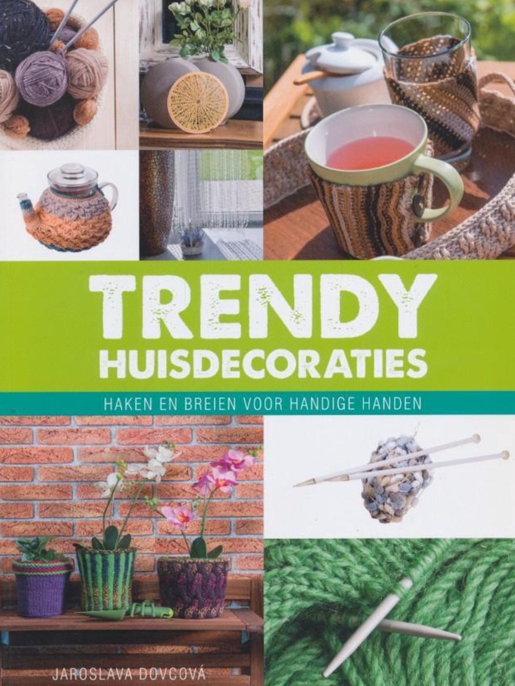 Trendy Huisdecoraties: haken en breien voor handige handen (Paperback)