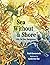 Sea Without a Shore: Life i...