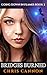 Bridges Burned (Going Down In Flames): Book 2 of 5: Going Down in Flames Series