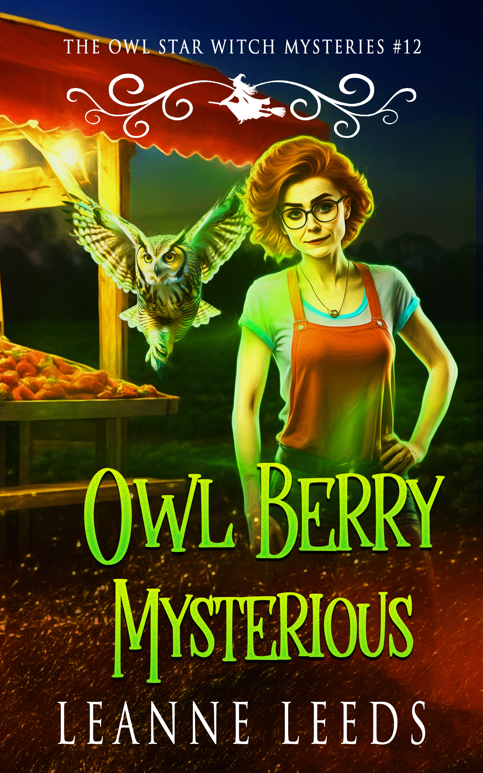 Owl Berry Mysterious (Owl Star Witch Mysteries, #12)
