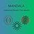 Mandala: Colouring book 2 f...