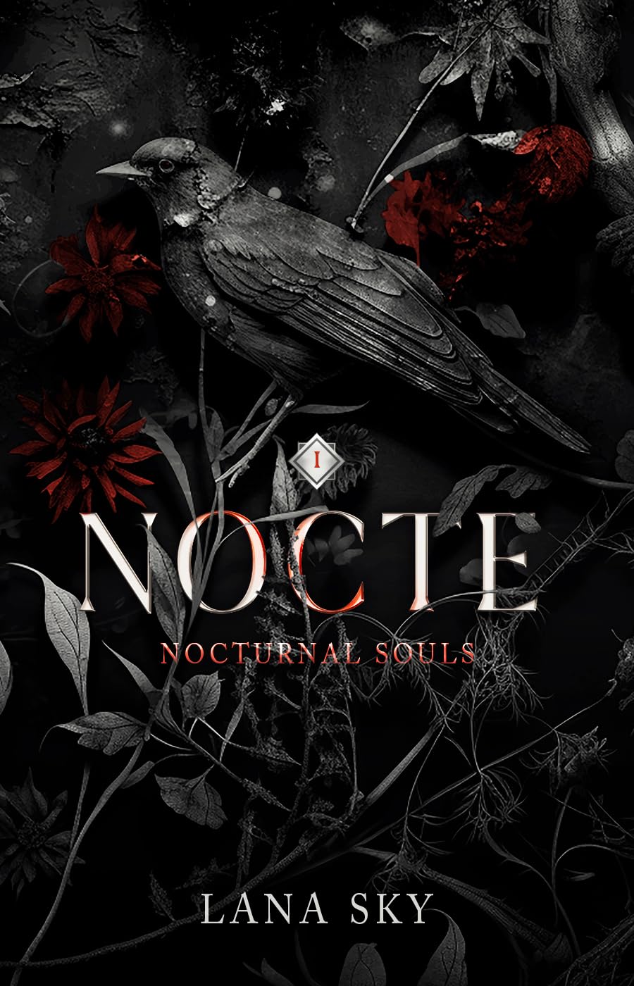 Nocte (Nocturnal Souls #1)