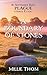 A Boundary of Stones by Millie Thom