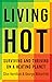 Living Hot: Surviving and Thriving on a Heating Planet