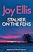 STALKER ON THE FENS a gripping crime thriller with a huge twist (Detective Nikki Galena Mysteries)