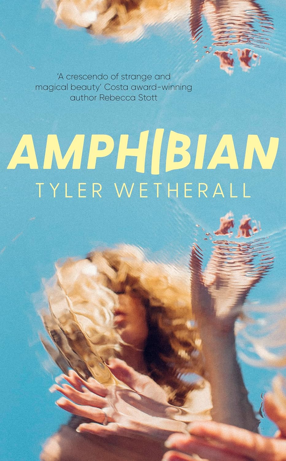 Amphibian (Paperback)