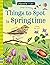 Things to Spot in Springtime (Usborne Minis)