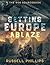 Setting Europe Ablaze: The SOE Sourcebook (RPG Books)