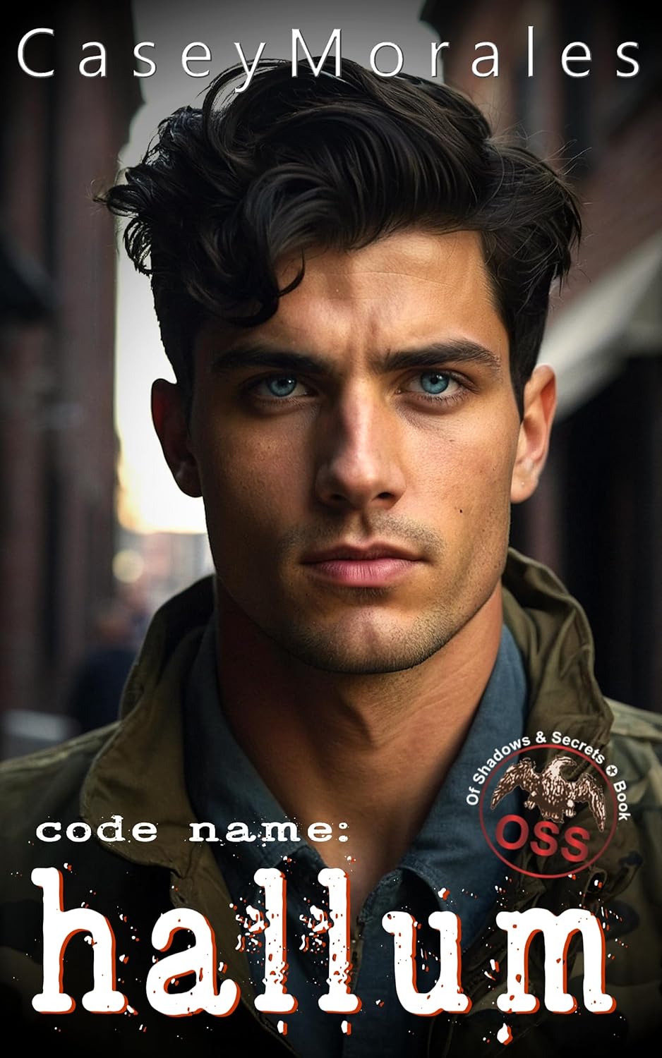 Code Name: Hallum (Of Shadows & Secrets #3)