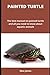 PAINTED TURTLE: The best ma...