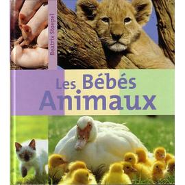 Les bébés animaux (Hardcover)