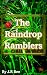 The Raindrop Ramblers by J.R. Bee