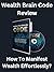 Wealth Brain Code Review - ...