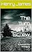 The Turn of the Screw: A Descent into Ambiguity