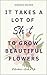 It Takes a Lot of Shit to Grow Beautiful Flowers by Deborah Holmén