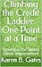 Climbing the Credit Ladder: One Point at a Time: Strategies for Steady Credit Improvement