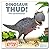 Dinosaur Thud! The Carnotau...