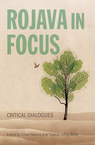Rojava in Focus: Critical Dialogues (Paperback)