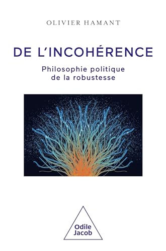 De l'incohérence (Paperback)