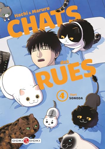 Hachi & Maruru - Chats des rues (Chats des Rues, #4)