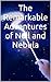 The Remarkable Adventures of Nell and Nebula by Alan Stokes