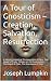 A Tour of Gnosticism – Creation, Salvation, Resurrection: A Volume Containing The Apocyphon of John, The Gospel of Truth, Treaties on the Resurrection, The Gospel of Peter, The Apocalypse of Peter
