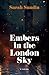 Embers in the London Sky: A Novel