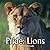 Pride: Lions: MR