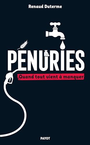 Pénuries: Quand tout vient à manquer (French Edition)