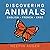 Discovering Animals: Englis...