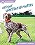 German Shorthaired Pointers (Dog Breeds)