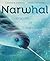 Narwhal: Unicorn of the Arctic