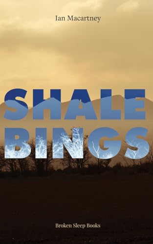 Shale Bings (Paperback)