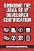 Grokking the Java SE 17 Developer Certification by Javin Paul