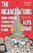 The Incarcerations: Bhima Koregaon and the Search for Democracy in India