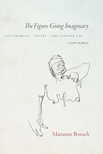 The Figure Going Imaginary: Life Drawing, Poetry, The Cadaver Lab; A Year in Pieces (Paperback)