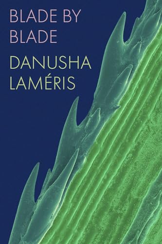 Blade by Blade (Paperback)