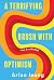 A Terrifying Brush with Optimism: New and Selected Stories
