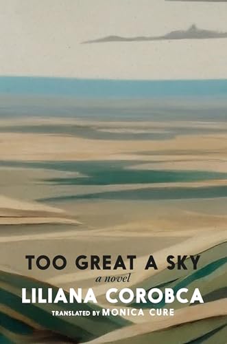 Too Great a Sky (Paperback)