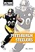 Pittsburgh Steelers (NFL Teams)