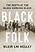 Black Folk: The Roots of the Black Working Class
