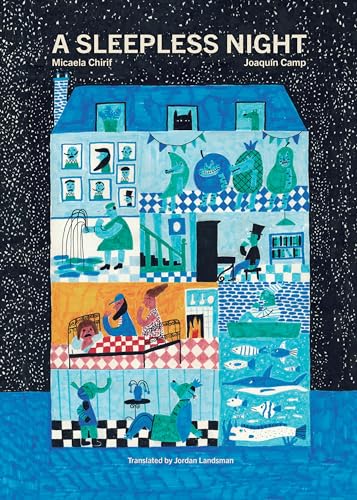 A Sleepless Night (Hardcover)