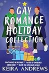 Gay Romance Holid...