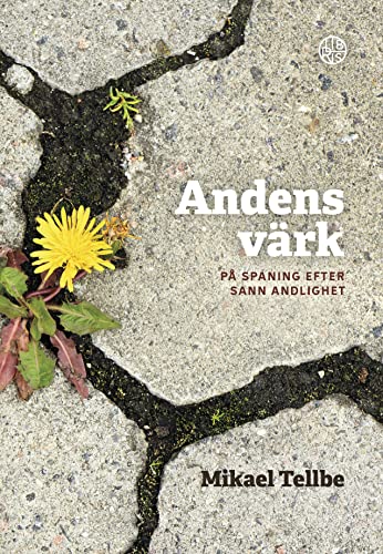 Andens värk - på spaning efter sann andlighet (Paperback)