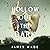 Hollow Out the Dark: A Novel
