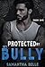 Protected by my Bully (Men of Ember Creek #1)
