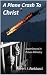 A Plane Crash To Christ : E...