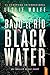 Bajo el río Blackwater (Detective Kay Sharp #2)