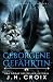 Geborgene Gefährtin – Eine Löwenshifter Romanze (Catamount Löwenshifter Reihe) (German Edition)